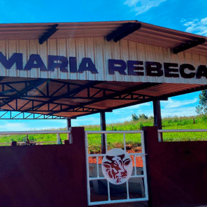 Maria Rebeca Lerone malhado